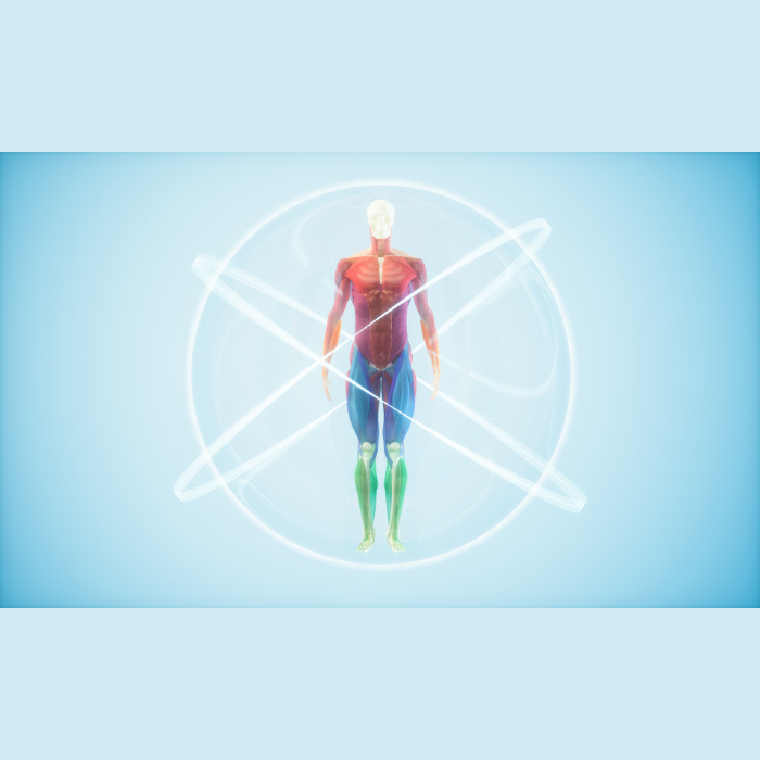 Nutrition and CBD