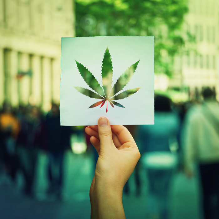 What’s new in Cannabis 2021